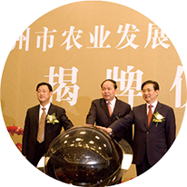 yl6809永利